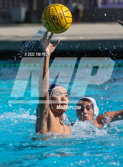 Thumbnail 3 in Newbury Park @ Yorba Linda photogallery.