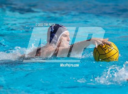 Thumbnail 3 in Newbury Park @ Yorba Linda photogallery.