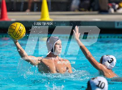 Thumbnail 3 in Newbury Park @ Yorba Linda photogallery.
