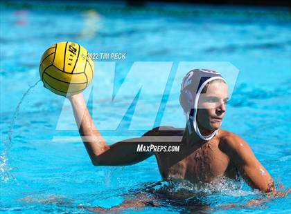 Thumbnail 2 in Newbury Park @ Yorba Linda photogallery.
