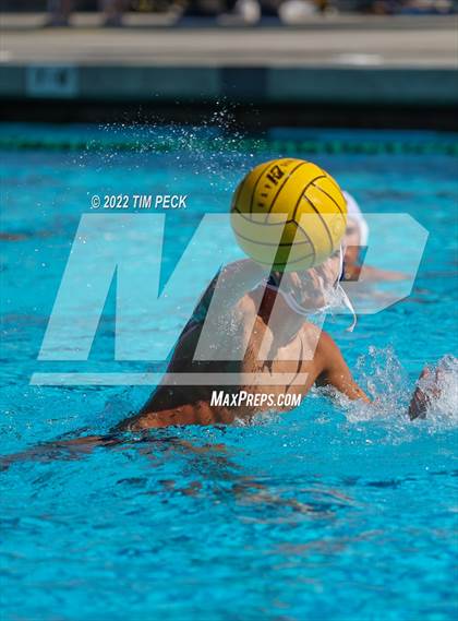 Thumbnail 3 in Newbury Park @ Yorba Linda photogallery.