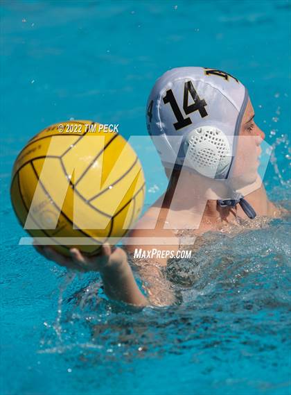 Thumbnail 3 in Newbury Park @ Yorba Linda photogallery.