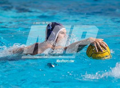 Thumbnail 1 in Newbury Park @ Yorba Linda photogallery.