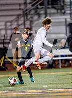 Photo from the gallery "Laguna Creek @ Stagg"