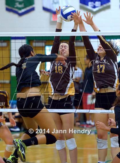 Thumbnail 2 in Parker vs. Long Beach Poly (Durango Fall Classic) photogallery.