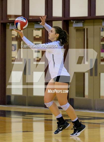 Thumbnail 2 in Clemens @ Seguin photogallery.