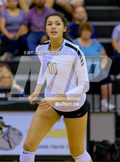Thumbnail 3 in Clemens @ Seguin photogallery.