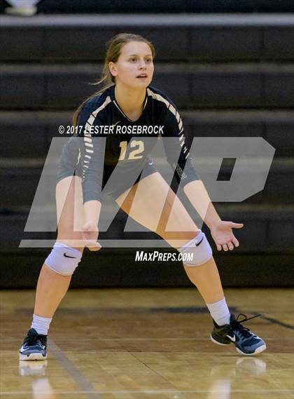 Thumbnail 3 in Clemens @ Seguin photogallery.
