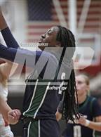 Photo from the gallery "Cypress Ridge @ Memorial"