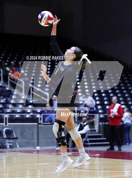 Thumbnail 3 in Iola vs. Crawford (UIL 2A Volleyball Division II Final) photogallery.