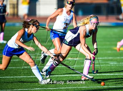 Thumbnail 3 in Del Norte @ San Pasqual photogallery.