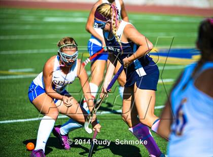 Thumbnail 3 in Del Norte @ San Pasqual photogallery.