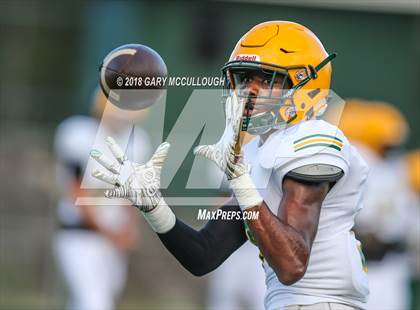 Thumbnail 1 in Yulee @ Nease photogallery.