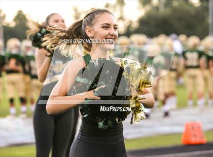 Thumbnail 3 in Yulee @ Nease photogallery.