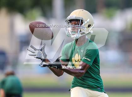 Thumbnail 3 in Yulee @ Nease photogallery.