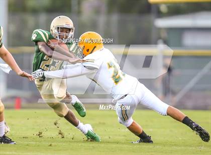 Thumbnail 3 in Yulee @ Nease photogallery.