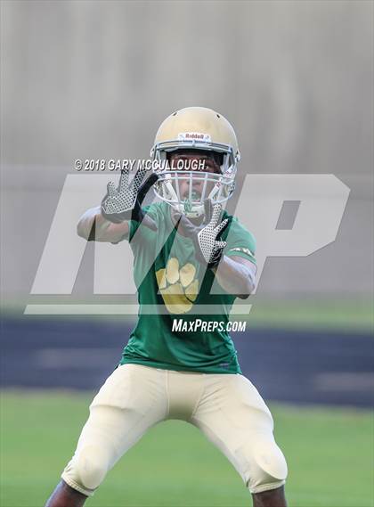 Thumbnail 3 in Yulee @ Nease photogallery.