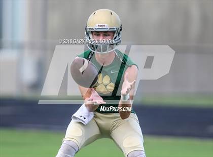 Thumbnail 2 in Yulee @ Nease photogallery.
