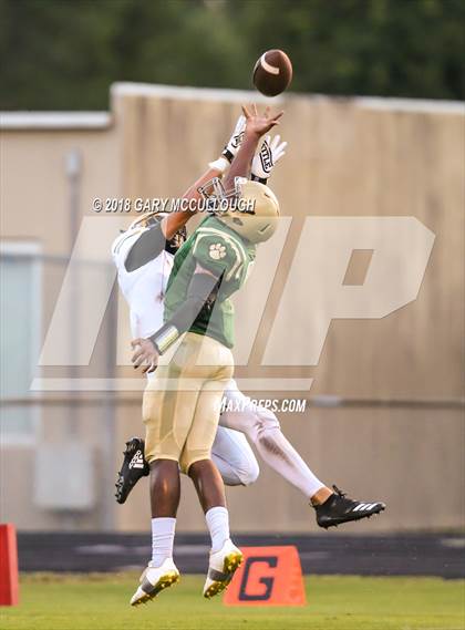 Thumbnail 3 in Yulee @ Nease photogallery.