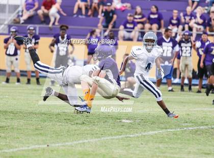 Thumbnail 3 in Central @ Hernando photogallery.