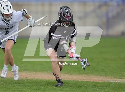 Thumbnail 2 in Chatfield @ Columbine photogallery.