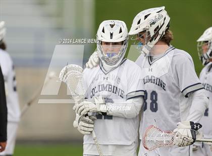 Thumbnail 1 in Chatfield @ Columbine photogallery.