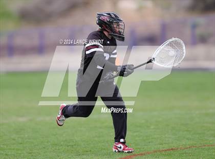 Thumbnail 2 in Chatfield @ Columbine photogallery.