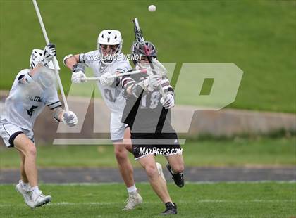 Thumbnail 1 in Chatfield @ Columbine photogallery.