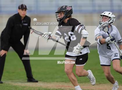 Thumbnail 2 in Chatfield @ Columbine photogallery.