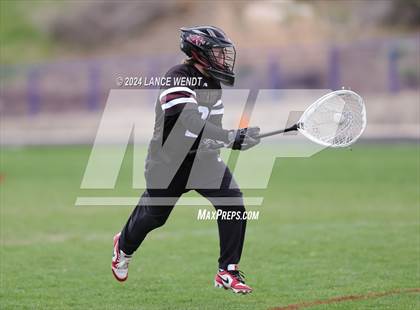 Thumbnail 1 in Chatfield @ Columbine photogallery.