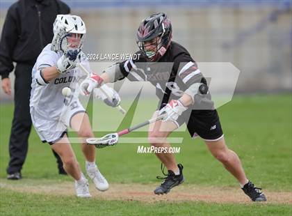 Thumbnail 2 in Chatfield @ Columbine photogallery.