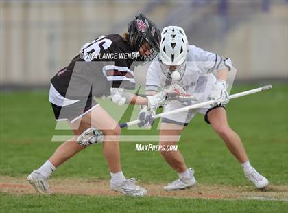 Thumbnail 2 in Chatfield @ Columbine photogallery.