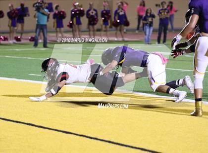 Thumbnail 3 in Palmview @ McAllen photogallery.