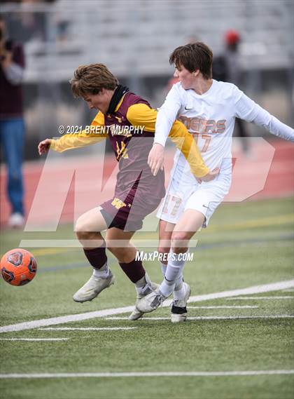 Thumbnail 1 in Windsor vs. Erie (CHSAA 4A Quarterfinals) photogallery.