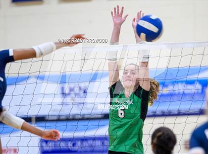 Thumbnail 3 in Myers Park @ Hopewell photogallery.