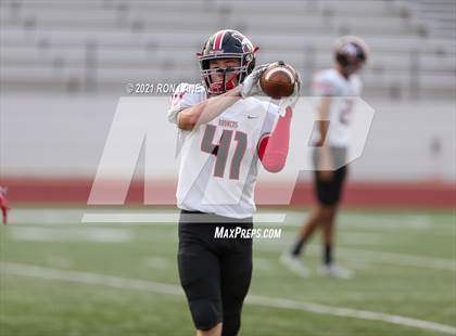 Thumbnail 1 in Mustang @ Stillwater photogallery.
