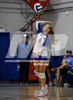 Photo from the gallery "Live Oak @ Orland"