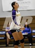 Photo from the gallery "Live Oak @ Orland"