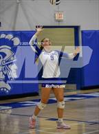 Photo from the gallery "Live Oak @ Orland"