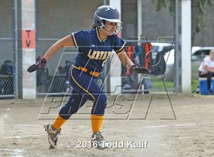 Thumbnail 1 in Ledyard @ Montville photogallery.