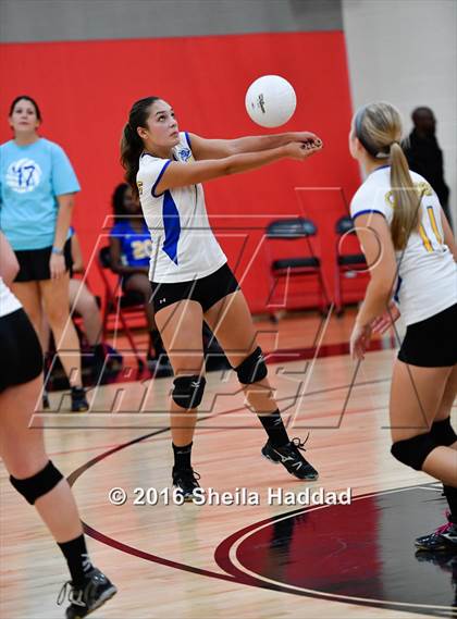 Thumbnail 2 in Canterbury @ Carrollwood Day photogallery.