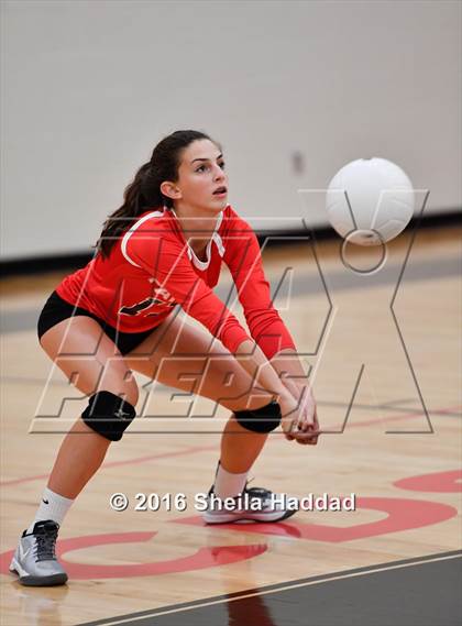 Thumbnail 3 in Canterbury @ Carrollwood Day photogallery.