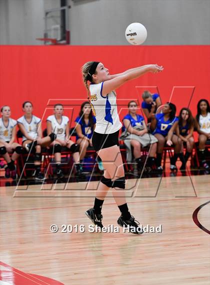 Thumbnail 2 in Canterbury @ Carrollwood Day photogallery.