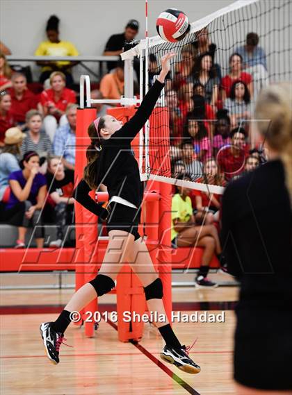 Thumbnail 3 in Canterbury @ Carrollwood Day photogallery.