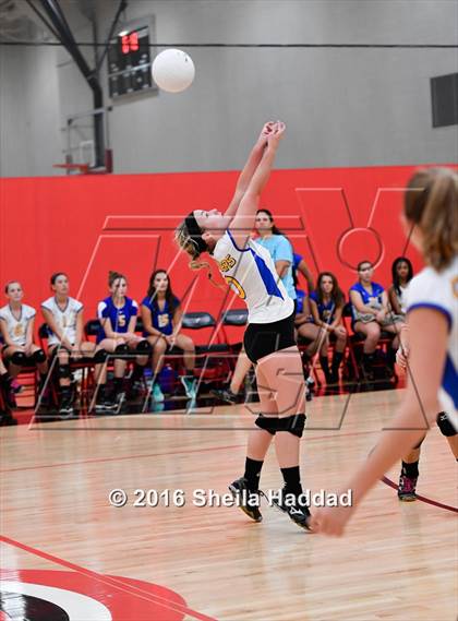 Thumbnail 1 in Canterbury @ Carrollwood Day photogallery.