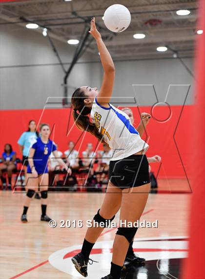 Thumbnail 2 in Canterbury @ Carrollwood Day photogallery.