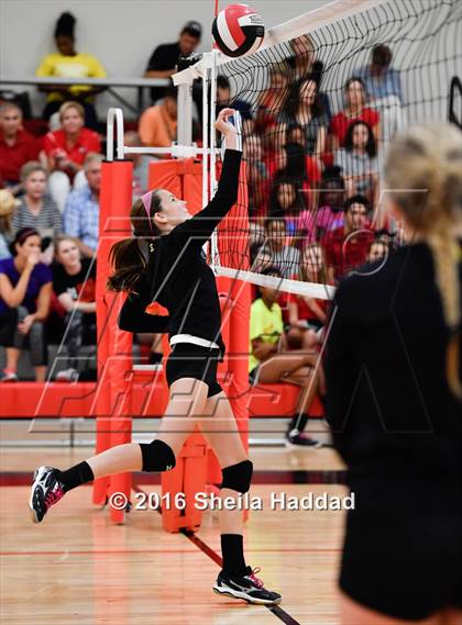 Thumbnail 1 in Canterbury @ Carrollwood Day photogallery.