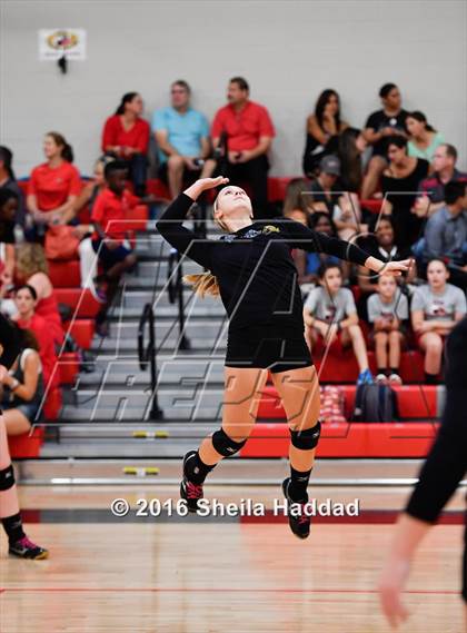 Thumbnail 2 in Canterbury @ Carrollwood Day photogallery.