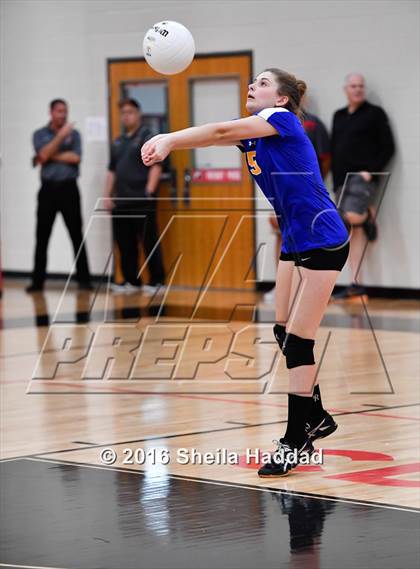 Thumbnail 2 in Canterbury @ Carrollwood Day photogallery.