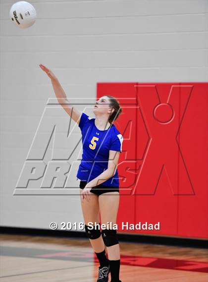 Thumbnail 3 in Canterbury @ Carrollwood Day photogallery.